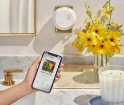 Amalfi Lemon & Mint Refill Single For Pura Smart Home Fragrance Diffuser -Scented Serenity Shop NESTNY CORE AML DIF PURA REF SIN 3