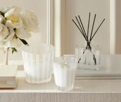 Apricot Tea 3-Wick Candle -Scented Serenity Shop NESTNY CORE AT CAN 3W 3