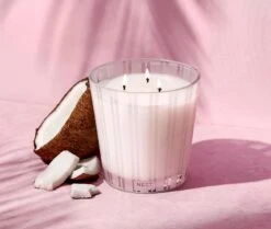Coconut & Palm 3-Wick Candle -Scented Serenity Shop NESTNY CORE CPA CAN 3W 3