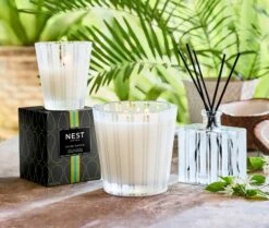 Coconut & Palm Classic Candle -Scented Serenity Shop NESTNY CORE CPA CAN CL 4