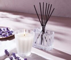 Cedar Leaf & Lavender Reed Diffuser 7 Cedar Leaf & Lavender Reed Diffuser -Scented Serenity Shop NESTNY CORE CV DIF REED 4