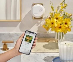 Grapefruit Refill Single For Pura Smart Home Fragrance Diffuser -Scented Serenity Shop NESTNY CORE GF DIF PURA REF SIN 3