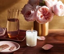 Scented Serenity Shop -Scented Serenity Shop NESTNY CORE RO CAN V 2