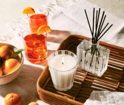 Sicilian Tangerine Reed Diffuser -Scented Serenity Shop NESTNY CORE ST DIF REED 4
