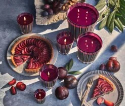 Autumn Plum Votive Candle 5 Autumn Plum Votive Candle -Scented Serenity Shop NESTNY FF ATP CAN V 3