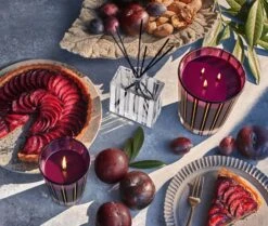 Autumn Plum Reed Diffuser -Scented Serenity Shop NESTNY FF ATP DIF REED 3