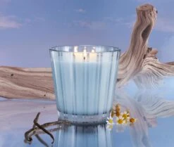 Driftwood & Chamomile 3-Wick Candle -Scented Serenity Shop NESTNY WELL DC CAN 3W 3