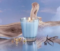Driftwood & Chamomile Classic Candle -Scented Serenity Shop NESTNY WELL DC CAN CL 3