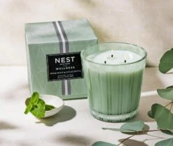 Wild Mint & Eucalyptus 3-Wick Candle -Scented Serenity Shop NESTNY WELL ECS CAN 3W 3