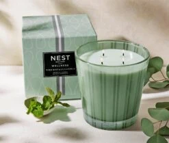 Wild Mint & Eucalyptus Luxury Candle -Scented Serenity Shop NESTNY WELL ECS CAN LX 3