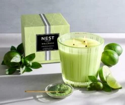 Lime Zest & Matcha 3-Wick Candle -Scented Serenity Shop NESTNY WELL LZM CAN 3W 3