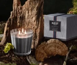 Charcoal Woods 3-Wick Candle -Scented Serenity Shop NESTNY WILD CW CAN 3W 3