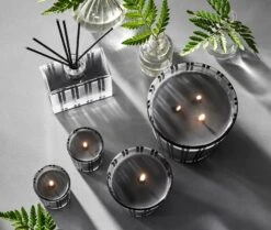 Charcoal Woods 3-Wick Candle -Scented Serenity Shop NESTNY WILD CW CAN 3W 4